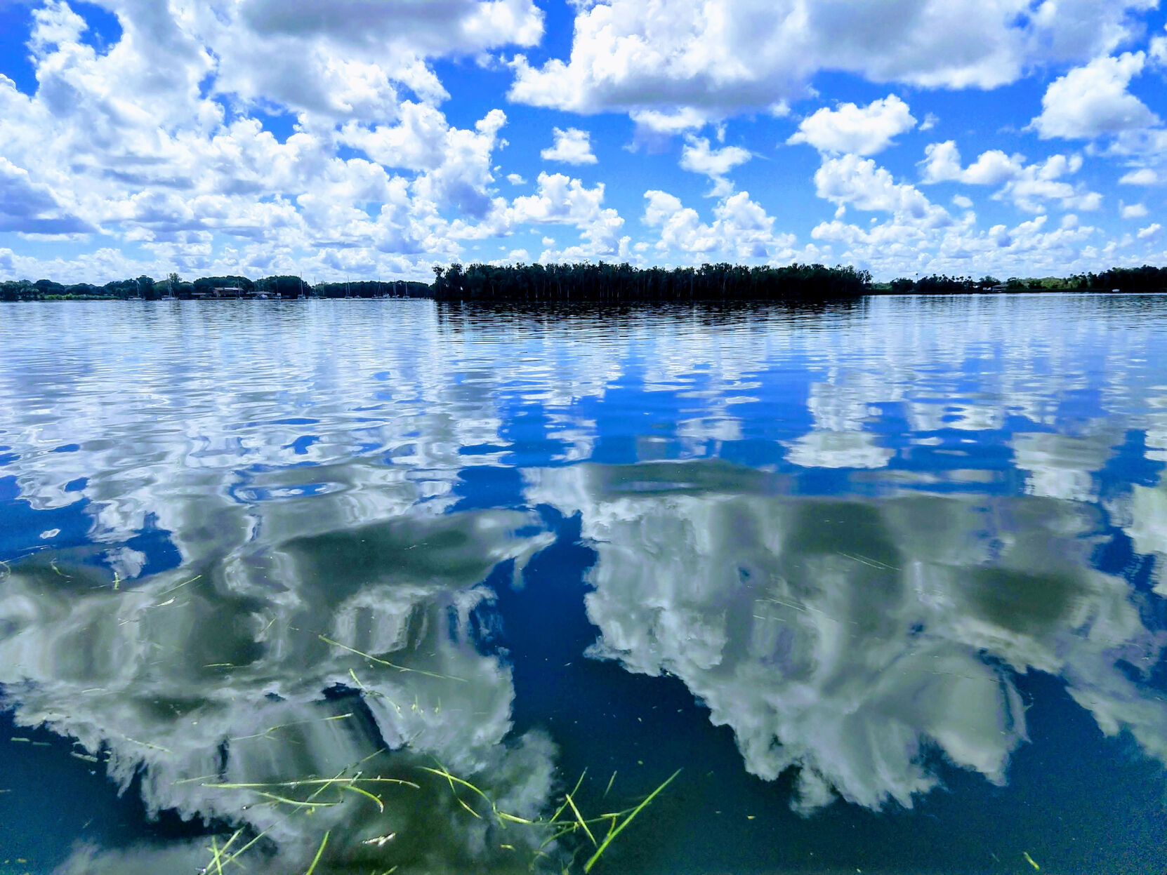 Happy anniversary to Save Our Waters Week  Columnists 
