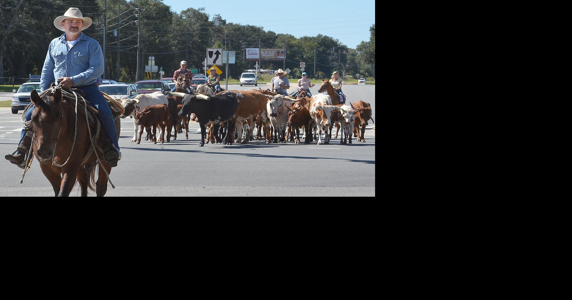 Herd about the roundup? | Entertainment in Citrus County ...