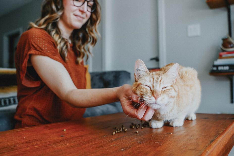 Make nutrition a priority for your pet | Health