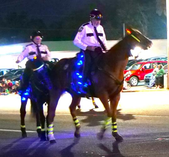 Turnout at Crystal River Christmas parade phenomenal Local News