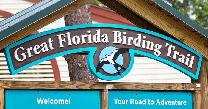 FWC launches new Great Florida Birding and Wildlife Trail website