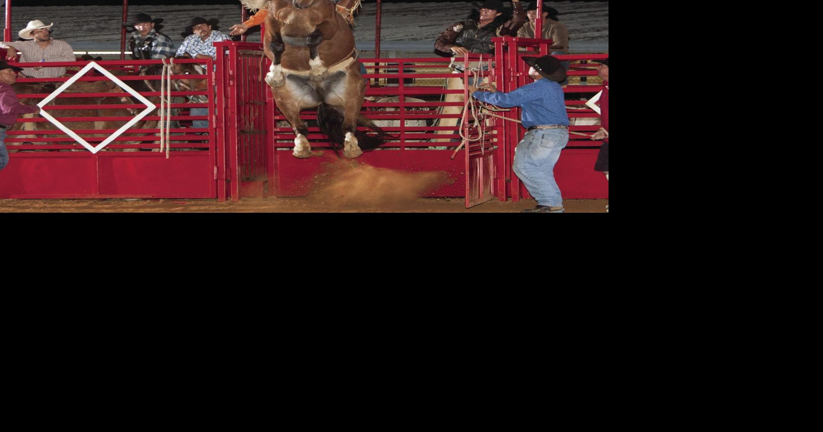 Cowboy up: Citrus Stampede Rodeo heading into town | Entertainment in ...