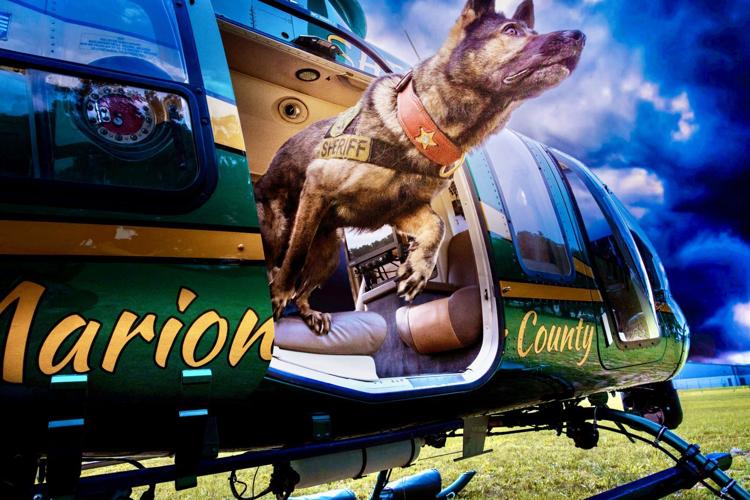 K9 Rambo Law and Order: Those Who Serve – Lt. Don Standridge | Local News ...