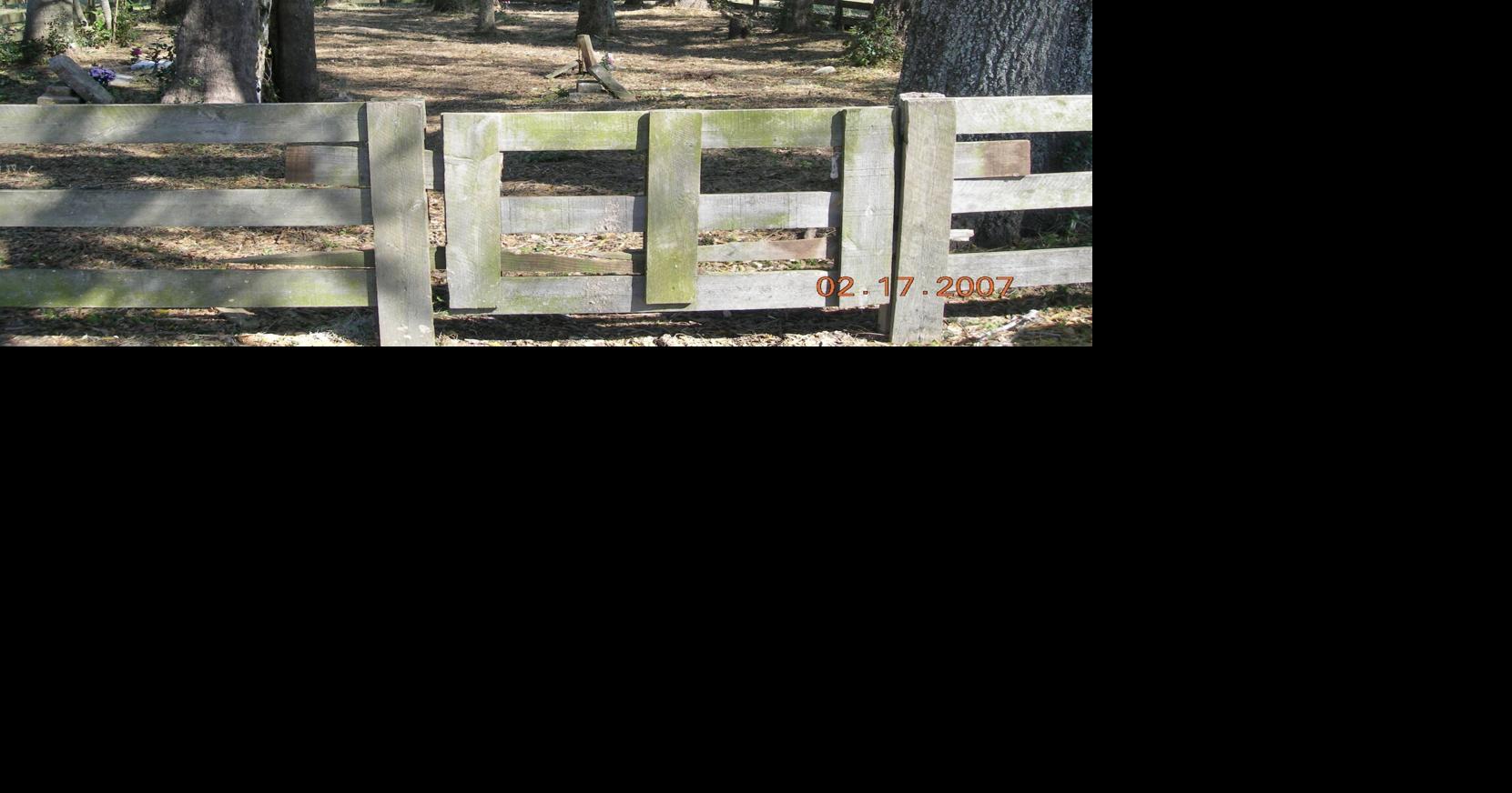 A buried history – Uncovering the story of Blue Run Cemetery