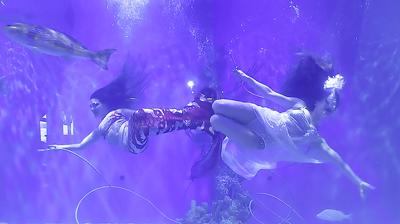 Local Mermaid Christmas under the water; Local mermaid show features Christmas theme ...