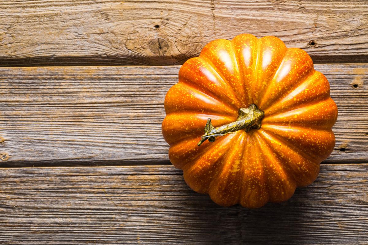 Seminole Heritage Pumpkins For Autumn Food Chronicleonline Com Sipping soup, vegetable soup on the go, butternut squash & sweet potato, 11.1 oz cup (8 pack). seminole heritage pumpkins for autumn