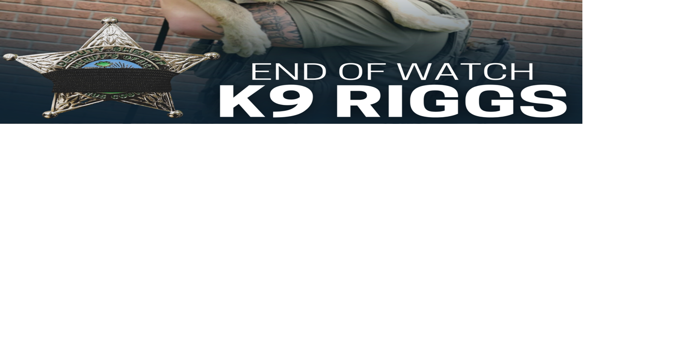 K9 Riggs: End of Watch | Local News | chronicleonline.com
