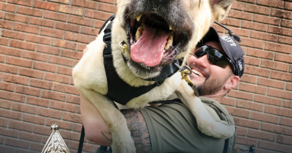 Nine Riggs K9 Riggs: End of Watch | Local News | chronicleonline.com