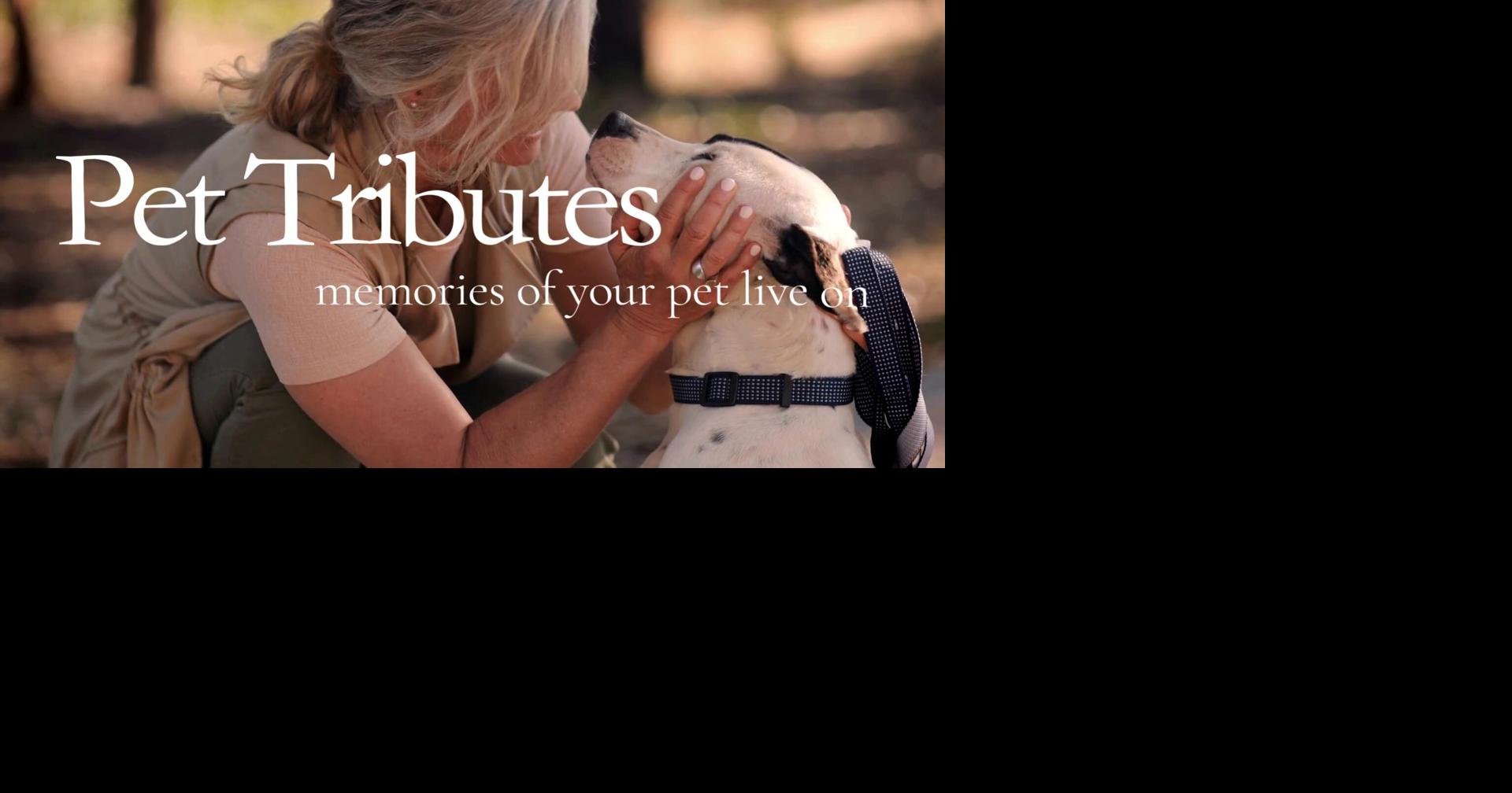 Democrat And Chronicle Pets