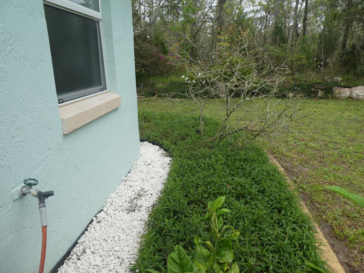 A DIY home insect barrier Real Estate