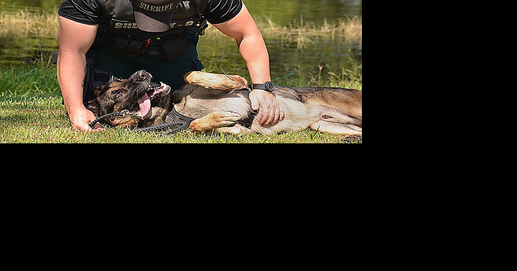 Sheriff’s office mourns loss of K-9 deputy | Local News ...