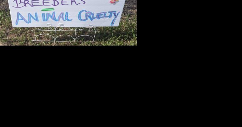Protestors want sale of puppies at flea market to stop - Vimarsana News