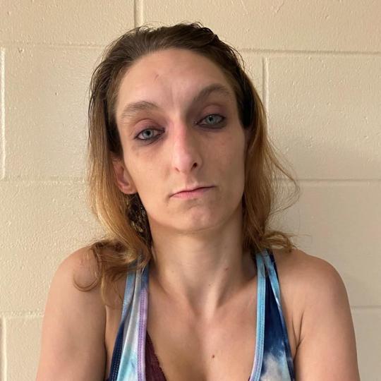LEVY COUNTY ARRESTS Arrest Reports