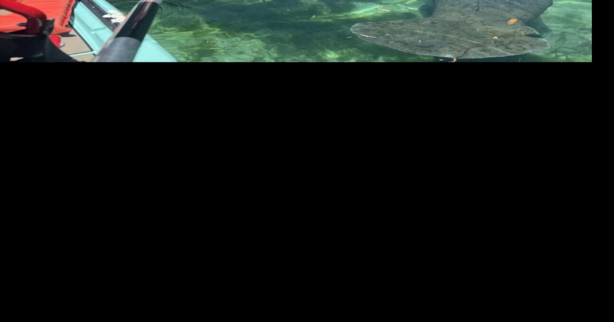 On the water, Downing shares the Crystal River she calls home