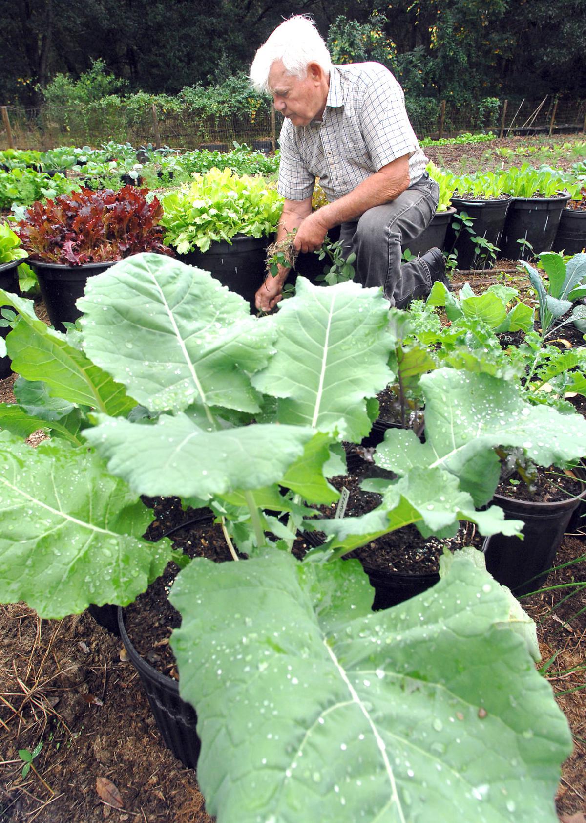 Final Master Gardener Course Of 2018 Set To Begin In August Local News Chronicleonline Com