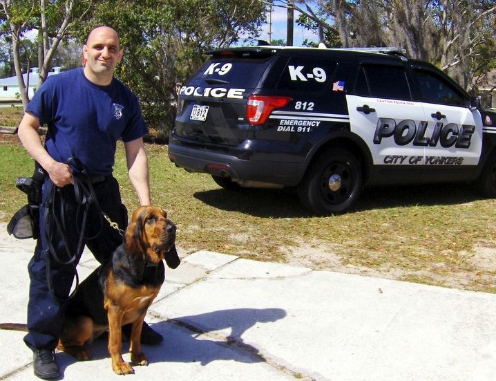 old southern bloodhounds