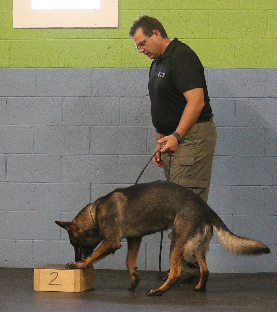 asa anderson k9 training