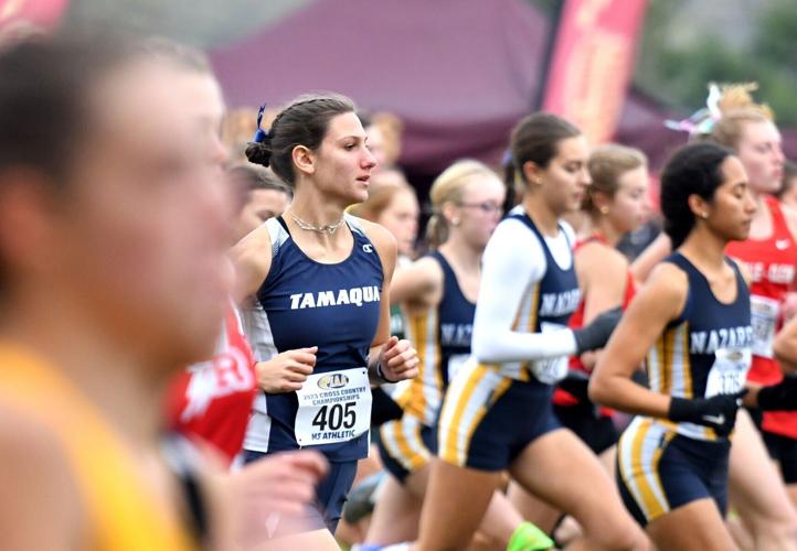 PIAA CROSS COUNTRY Williams, Kozich, Novelli earn individual state