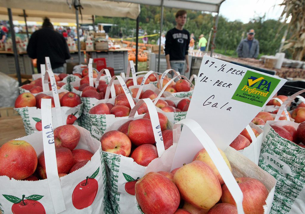 Crowds pack Heller’s Orchard for apple festival News