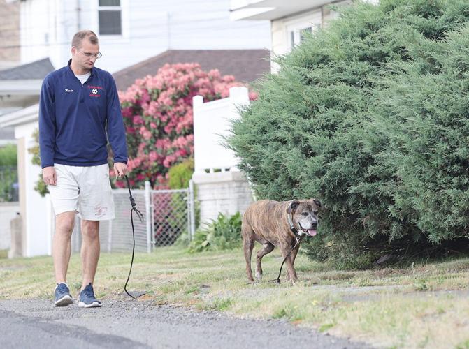 One last walk: Dog with cancer to greet Dupont neighbors for final time |  News | citizensvoice.com