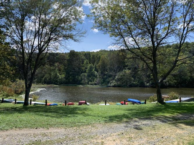 are dogs allowed at lackawanna state park