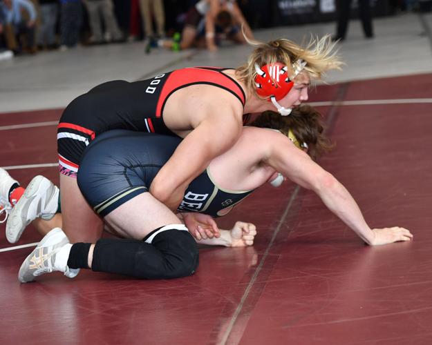 Saturday's district wrestling results