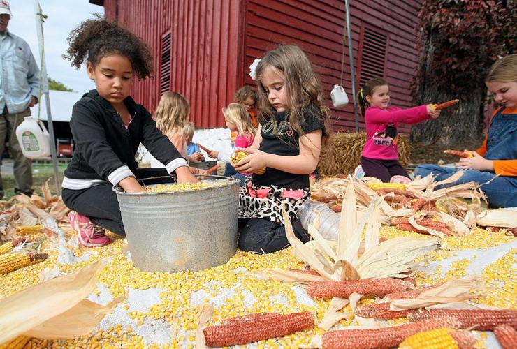 Crowds pack Heller’s Orchard for apple festival News