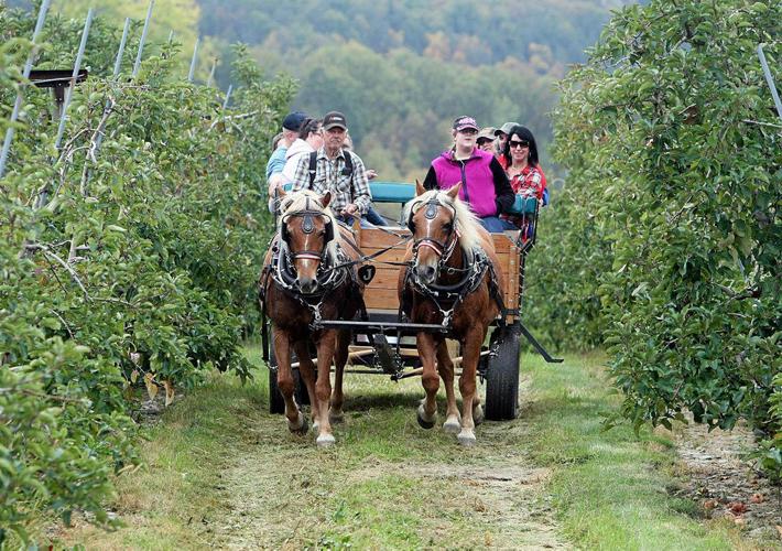 Crowds pack Heller’s Orchard for apple festival News
