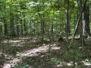 6.8 Acres  Friendship South , Afton, TN 37616