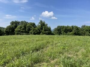 Lot 136  Tanzanite , New Tazewell, TN 37825