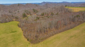 Tract 6  Bundren Mountain , Tazewell, TN 37879