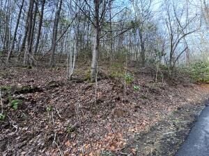 Lot 10  Black Gum Gap , Gatlinburg, TN 37738