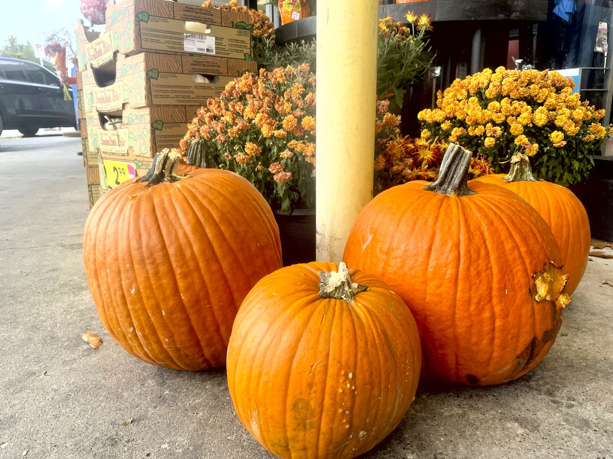 It's Fall Y'all: Weekend events planned to celebrate Autumn