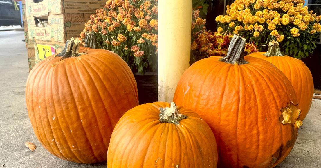 Kids enjoying Halloween event at Boys & Girls Club