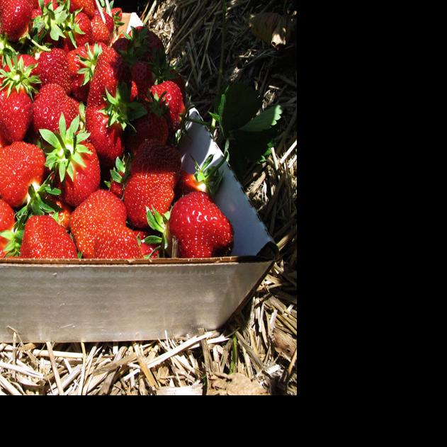 Up Their Alley Fruit Jar Alley satisfies many needs in Downtown