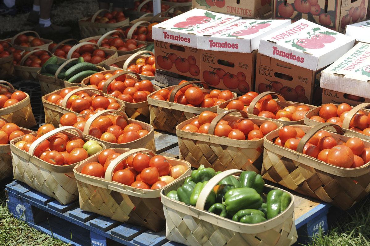 Grainger County Tomato Festival 2022