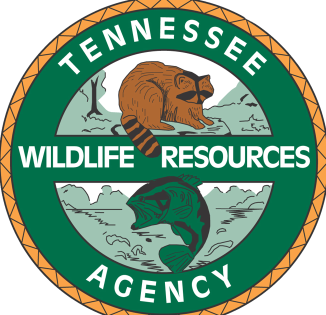 Tennessee S Free Fishing Day To Go On As Scheduled Saturday June 6 Local News Citizentribune Com Tn Free Fishing Day 2022