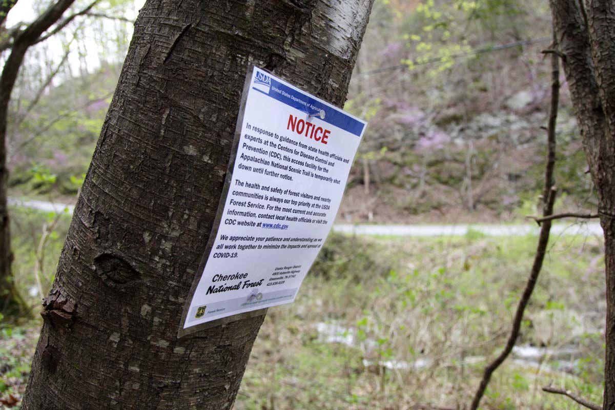 Coronavirus Disrupts Life On Appalachian Trail Coronavirus News Citizentribune Com