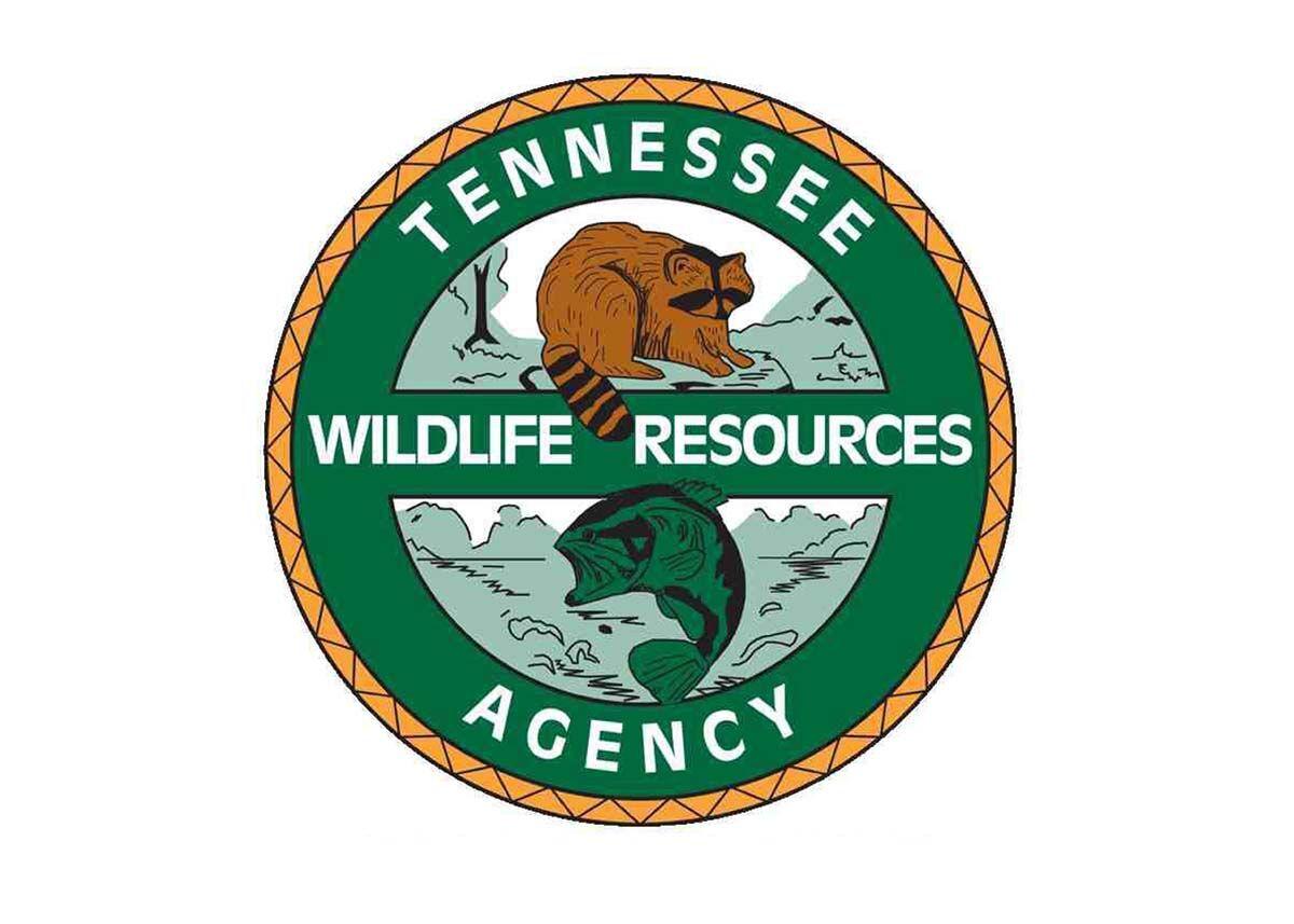 Twra Reminds Boaters To Wear Life Jackets Local News Citizentribune Com