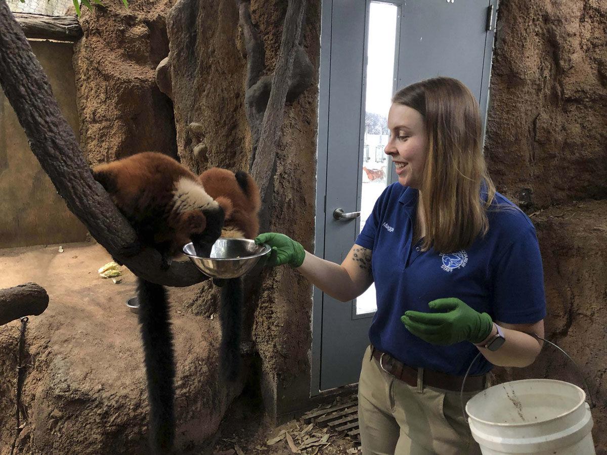 Tennessee Aquarium Offers Virtual Visits And More Coronavirus