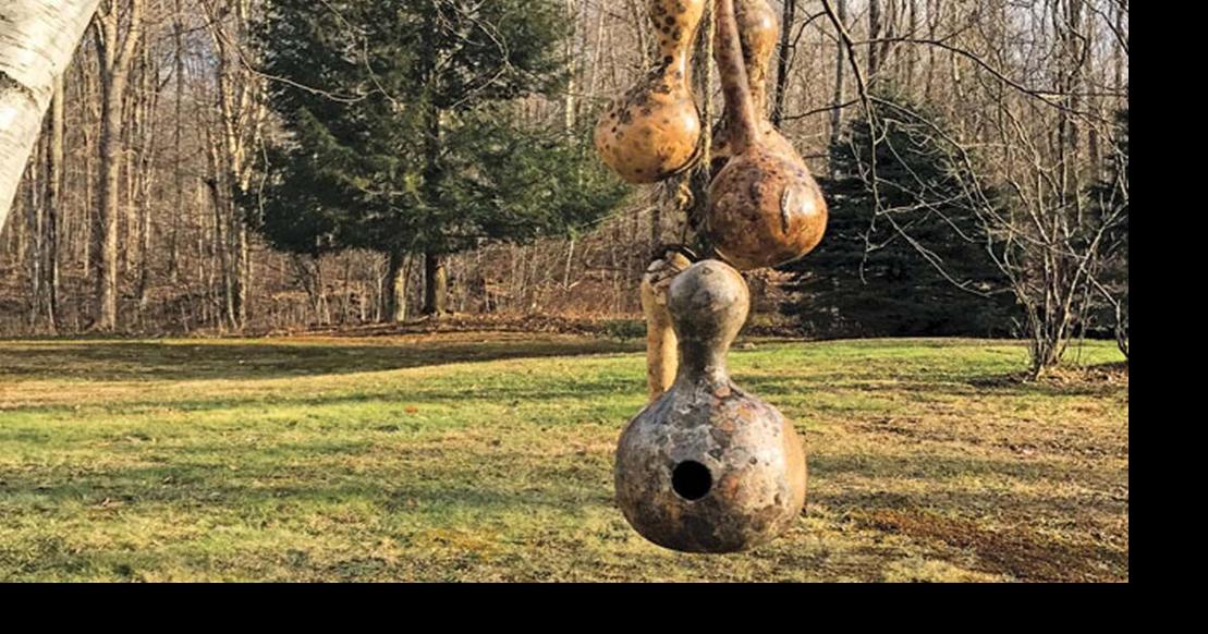 For the Birds Lakeway Area man has helped migrating birds find a home