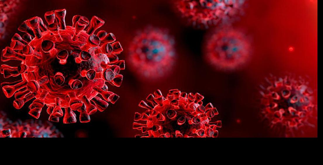 Ottinger Discusses Covid 19 Coronavirus News Citizentribune Com