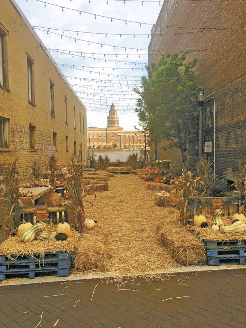 Peavine Alley converted to pumpkin patch for the fall