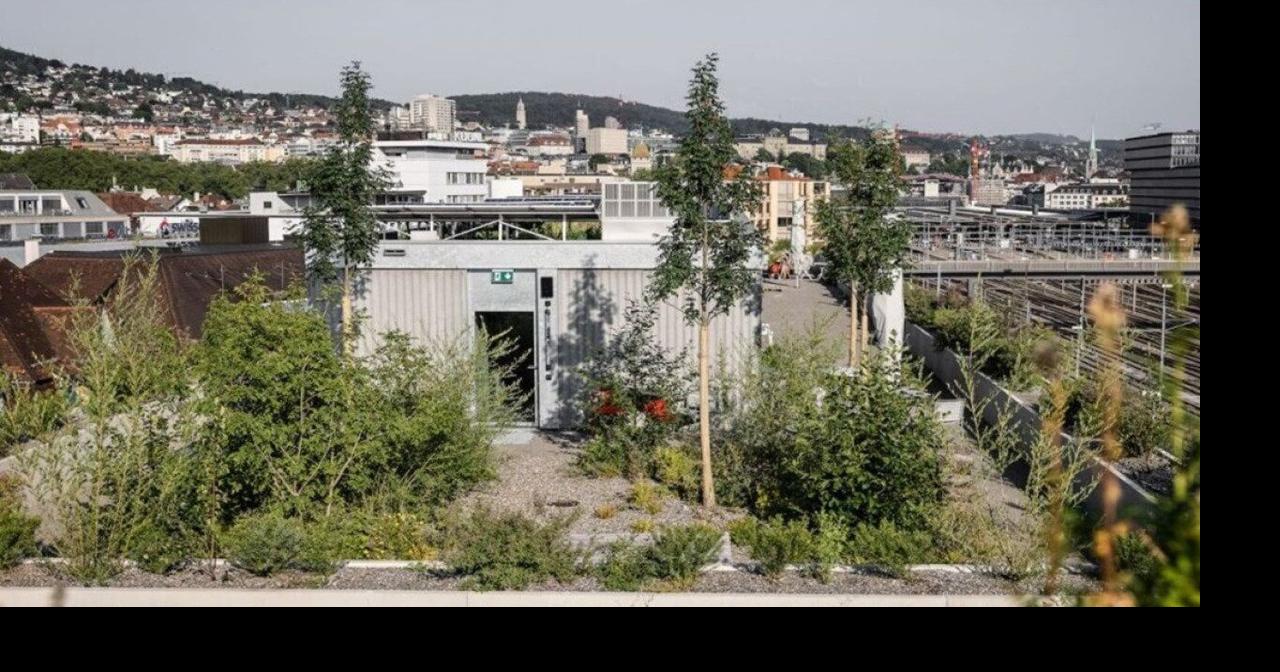 This city turned its rooftops into a climate shield