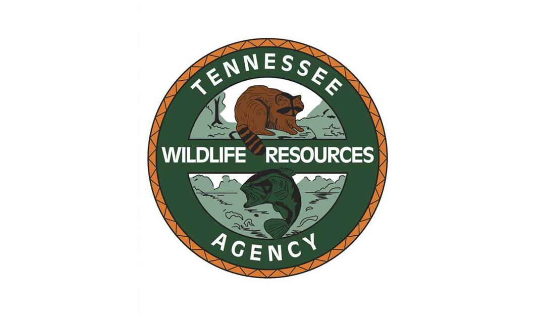 Tennessee Wildlife Resources Agency Operation Dry Water to be held this weekend - Citizentribune