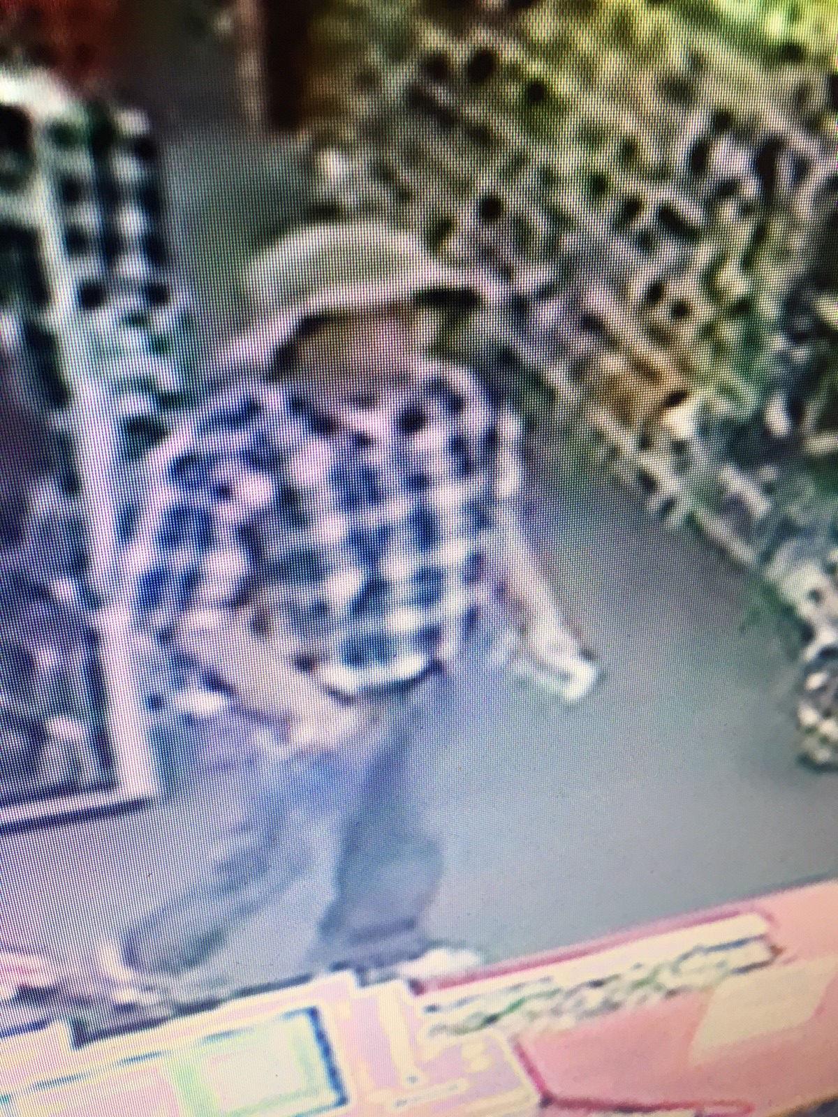 mpd searching for suspect in cvs robbery local news