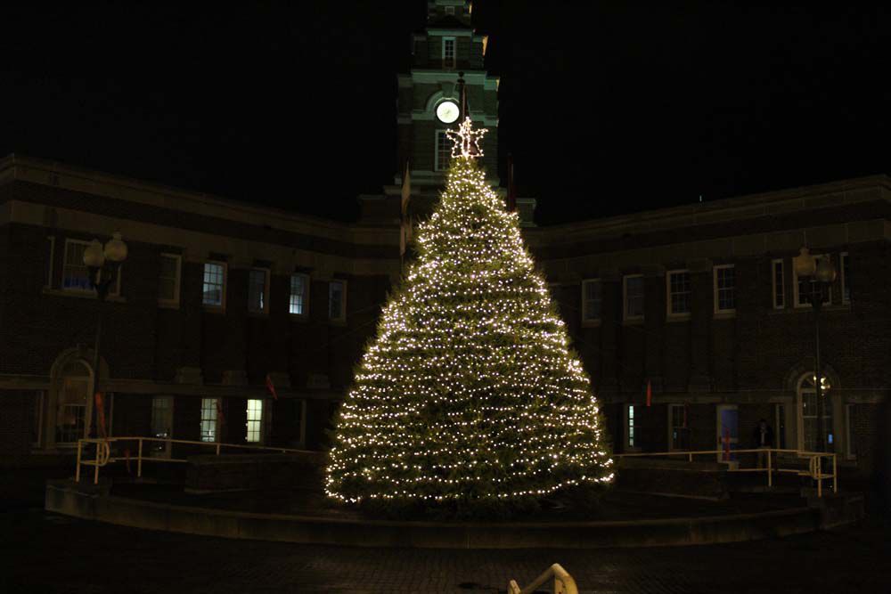 city celebrates season with tree lighting local news city celebrates season with tree lighting local news citizentribune com
