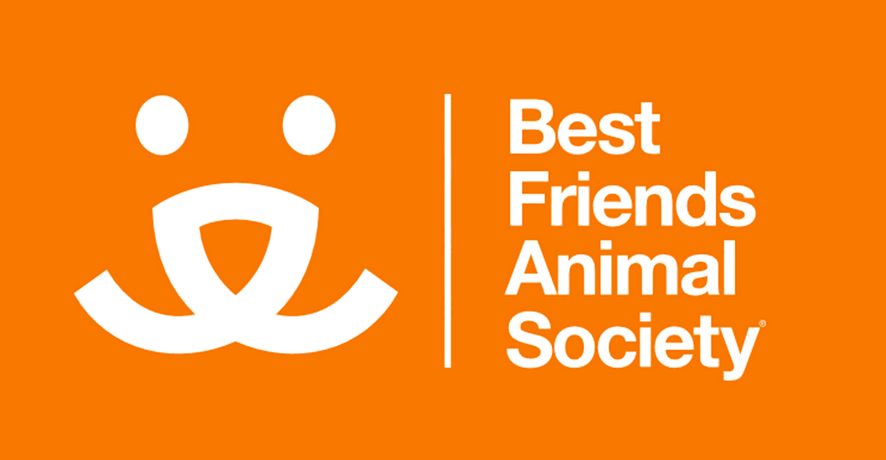 true friends animals