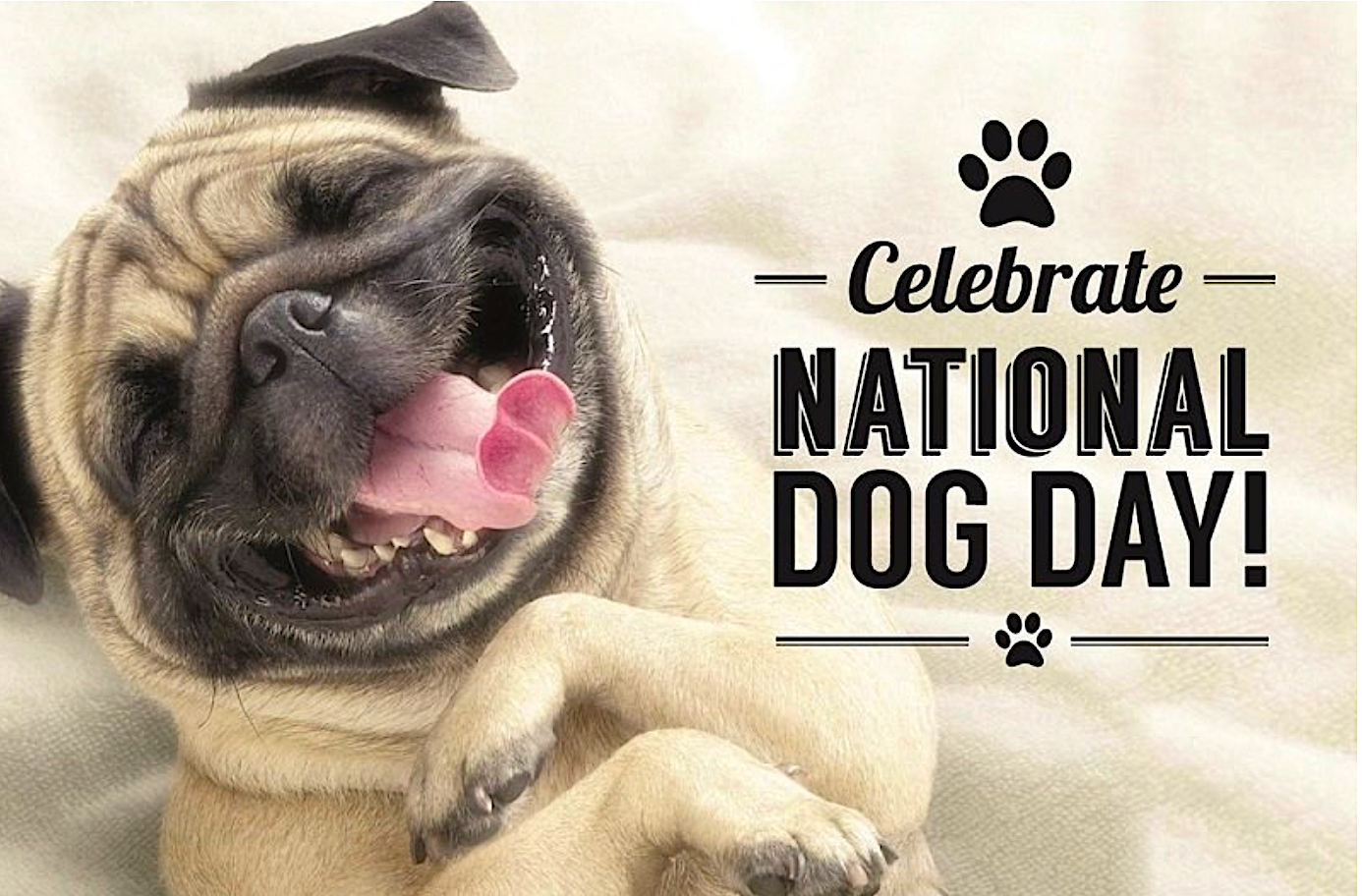 Celebrate the companionship of canines this National Dog Day, August 26 |  News | city-sentinel.com