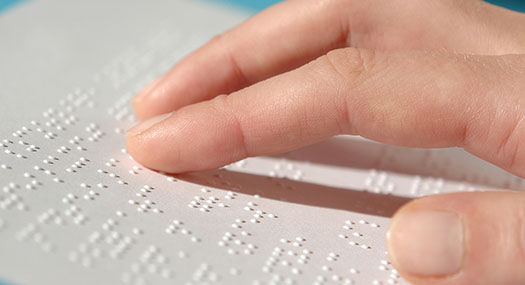 Braille Liracy Month